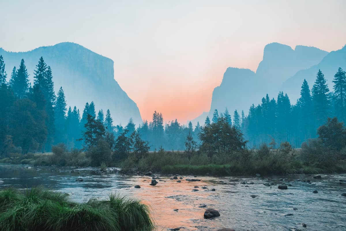 A tranquil nature scene
